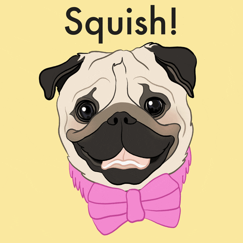 Dogs Love GIF