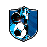 Football Sport Sticker