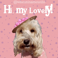 whenninametellie dog hello puppy hey there GIF
