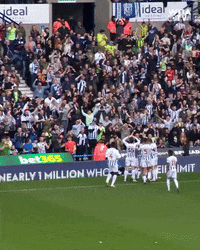 West Brom Football GIF by West Bromwich Albion