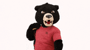Lenoir Rhyne Hickory GIF by Lenoir-Rhyne University