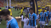 football soccer GIF by Grêmio
