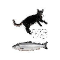 Cat Sticker by Rega Marketing