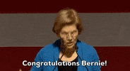 Elizabeth Warren GIF by Election 2020