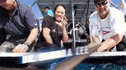 Shark Week GIF by discovery+