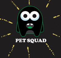 petsquad petsquad GIF