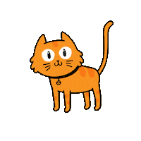 BBKGROUP gato seguros zenit zenitseguros Sticker