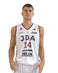 Basketball Basket Sticker by JDA Dijon