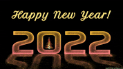 New Year Celebration GIF by echilibrultau