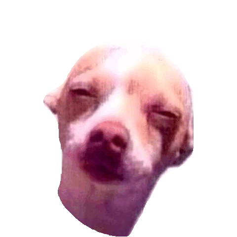 chihuahua STICKER by imoji