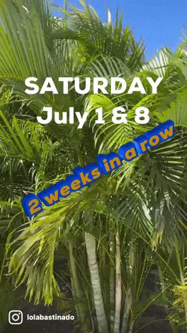 TheMiddayGrind 2 weeks in a row saturday july 1 8 GIF