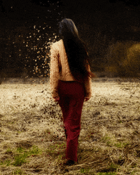 zenavobraze  GIF