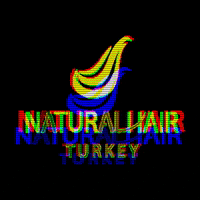 naturalhairturkey  GIF