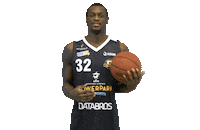Sport Basketball Sticker by Basket_fi