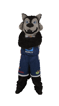 Basketball Wolf Sticker by Rostock Seawolves