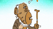 Zoo Eram GIF