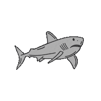 Shark Week Sticker