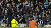 Celebration Reaction GIF by MolaTV