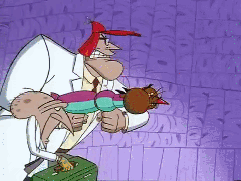 nickrewind giphydvr nicksplat angry beavers giphyab031 GIF