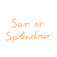 Summer Sun Sticker by Our Second Nature