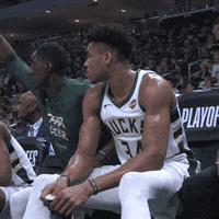 nba playoffs GIF by Milwaukee Bucks