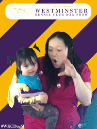 wkcdogshow GIF by Westminster Kennel Club