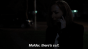 scully mulder GIF by The X-Files