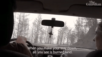 All You See Is Burned Land