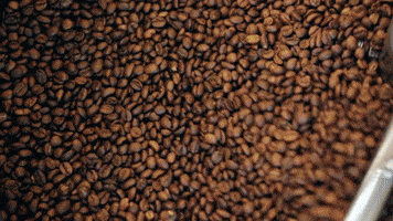Berks Beans Coffee: We all deserve