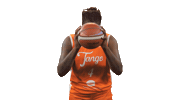 Basketball Diversion Sticker by Tango Bourges Basket