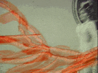 Film Splat GIF by Charles Pieper