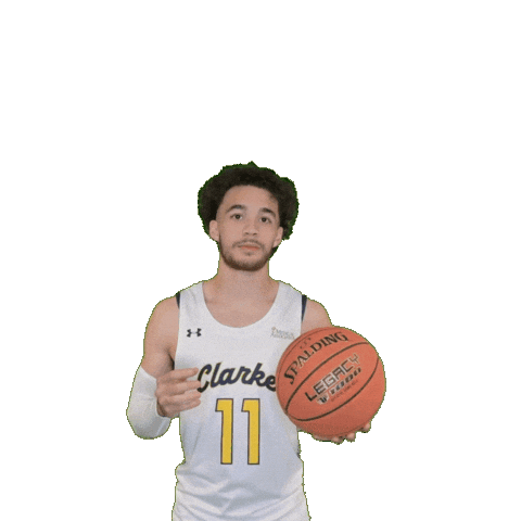 Mens Basketball Sticker by Clarke University