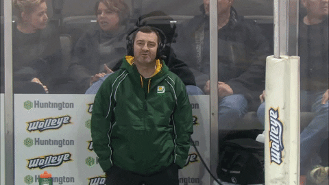 Hockey Wave GIF by Toledo Walleye