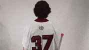 Mens Lacrosse Roll Pards GIF by Lafayette Leopards