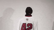 Mens Lacrosse Roll Pards GIF by Lafayette Leopards
