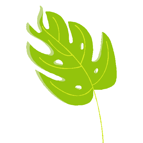 Summer Flower Sticker