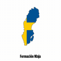 Sweden Flag GIF by Formación Ninja