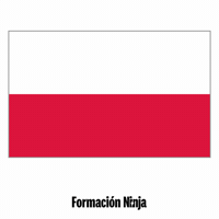 Poland Flag GIF by Formación Ninja