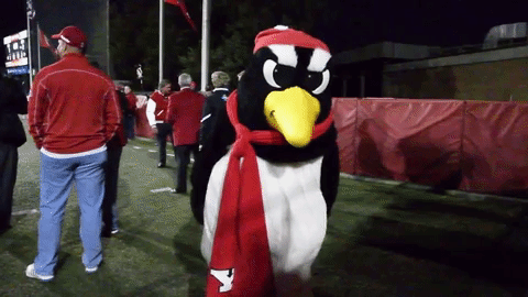 mascot penguin GIF by Youngstown State University