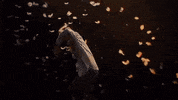 Chicken Tenders GIF by Dominic Fike
