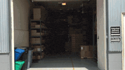 GIF by Polyvinyl Records