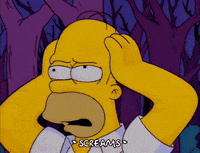homer simpson episode 10 GIF