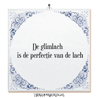 Nl Wijsheid Sticker by Tegelspreuken.nl