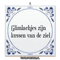 Humor Nl Sticker by Tegelspreuken.nl
