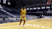Hinkle Fieldhouse Wnba GIF by Indiana Fever