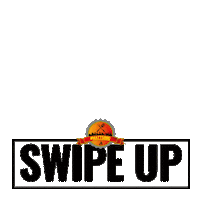 Logo Swipe Up Sticker by MattsBBQ