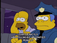 homer simpson episode 6 GIF