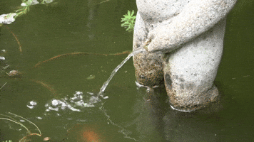 Fancy Fountains, So What?