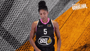 Sport Basketball GIF by Basket_fi