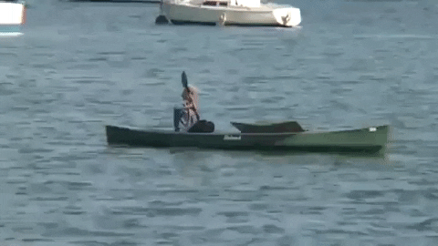 florida GIF